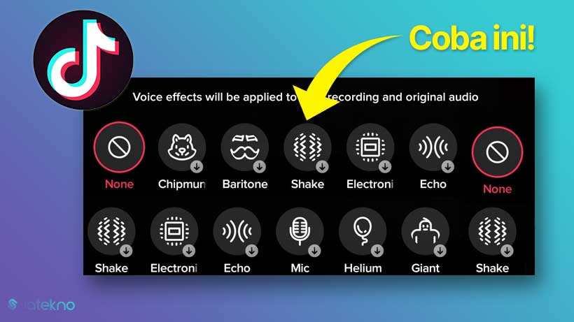 Cara Mengubah Suara di TikTok dengan Efek Suara Lucu, Alien atau Gemoi