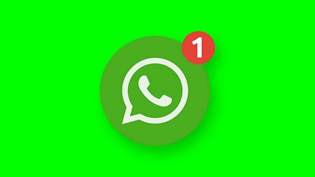 6 Fitur WhatsApp yang Berguna Seumur Hidup 6 Fitur WhatsApp yang Berguna Seumur Hidup