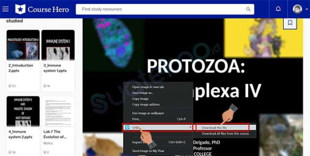 2 Cara Download File Dokumen di Course Hero Tanpa Login